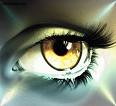 oeil